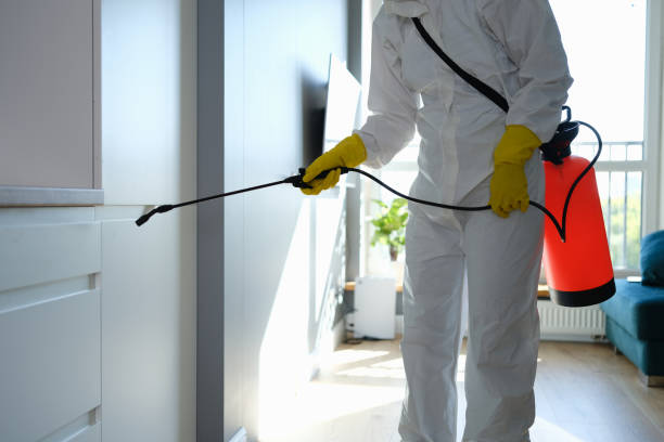 Home Mold Removal in Merchantville, NJ