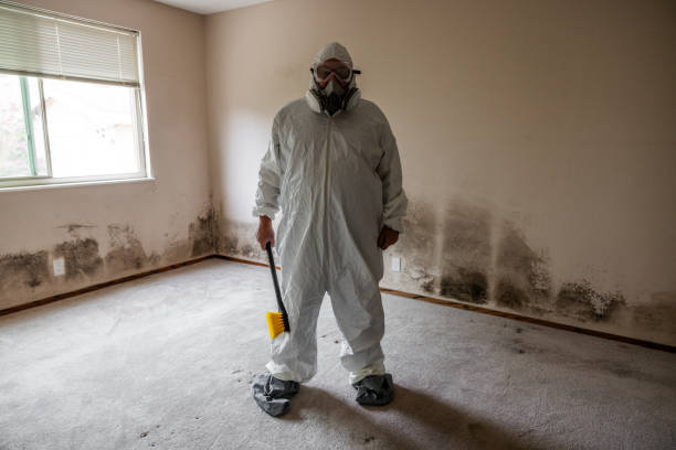 Best Mold Testing  in Merchantville, NJ